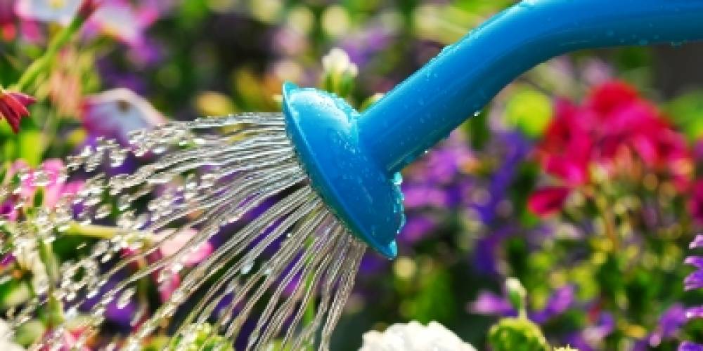 Doprajte záhrade osvieženie počas letných horúčav! Doprajte záhrade osvieženie počas letných horúčav!