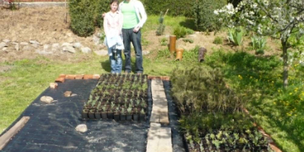 Sme srdcom záhradníci, alebo... ako sa zrodila firma Lumigreen? Sme srdcom záhradníci, alebo... ako sa zrodila firma Lumigreen?