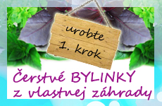 bylinky trvalky aromatick� lie�iv� predaj lumigreen.sk