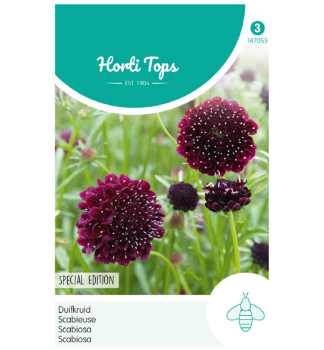 Semen� - HLAV�� �DEEP PURPLE�