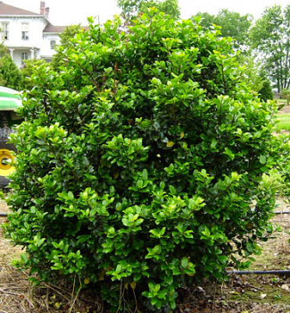 Obr�zok (1)