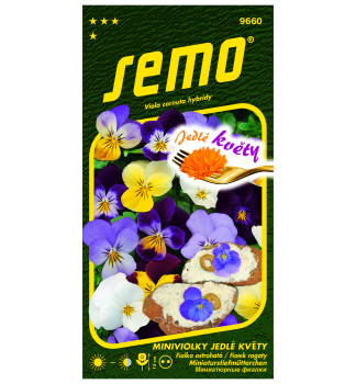 Semen� - FIALKA OSTROHAT� JEDL� KVETY