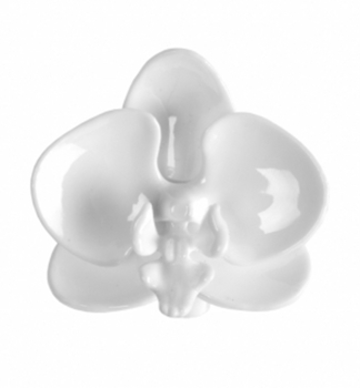 �TIPEC na orchideu BIELY, 5,5 cm