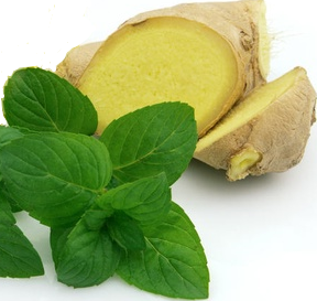 M�ta z�zvorov� �GINGER�, kont. 1 l