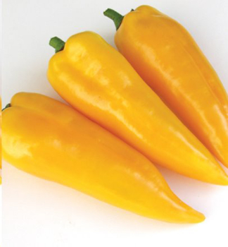 Paprika ve�koplod� �PARTNER F1�, kont. 0,3 l