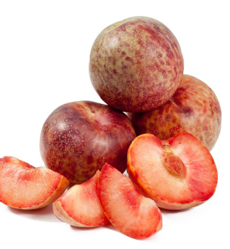 Slivkomarhu�a �DAPPLE DANDY� podp. myrobal�n, 180-200 cm, kont. 6 l