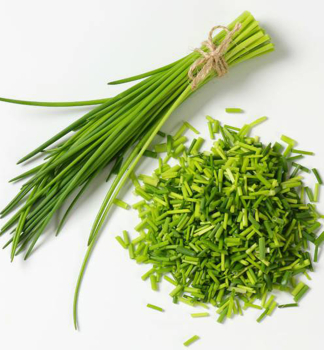 Pa��tka oby�ajn� (Allium Schnittlauch), kont. 0,3 l
