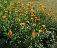 Obr�zok (1)