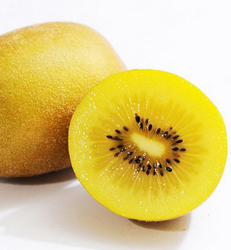 Kiwi ve�koplod� �GOLDEN KIWI� 30-40 cm, kont. 1,6 l