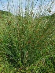 Obr�zok (1)