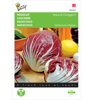 Semen� - �AKANKA �ROSSA DI CHIOGGIA 3�
