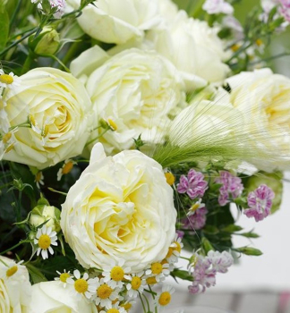 Ru�a ve�kokvet� kr�kov� �WEDDING PIANO�� ** Tantau, kont. 2 l