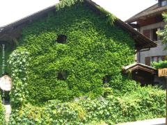 Obr�zok (3)